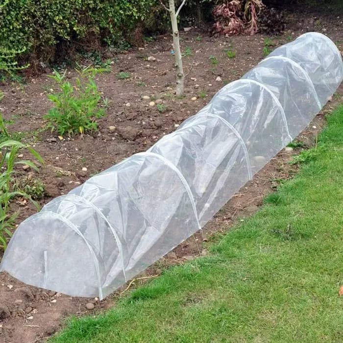 Film de couverture en plastique transparent pour culture agricole, serre végétale, coronavirus de l'