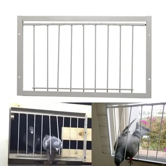 Piège à cadre de porte Pigeon Jos, clôture en fer, accent d'oiseau de compagnie, entrée d'élevage d'