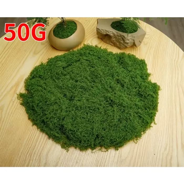 100g vert fausse mousse bricolage artisanat herbe mousse artificielle Faux mousse conservée plante v