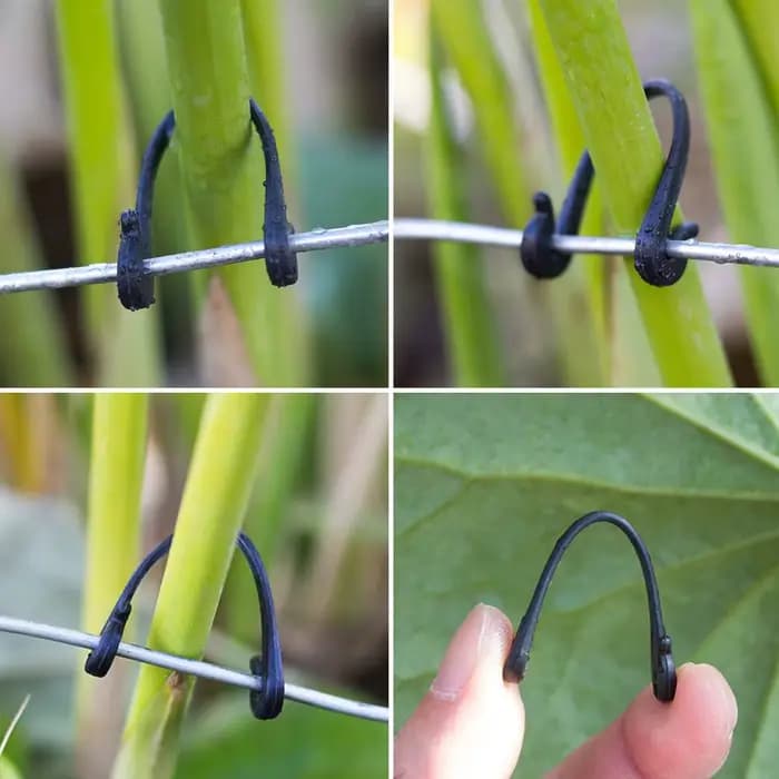 Clips fixes pour plantes de jardin, 100 pièces, boucles attachées, crochet d'arrimage pour Kiwi, rai