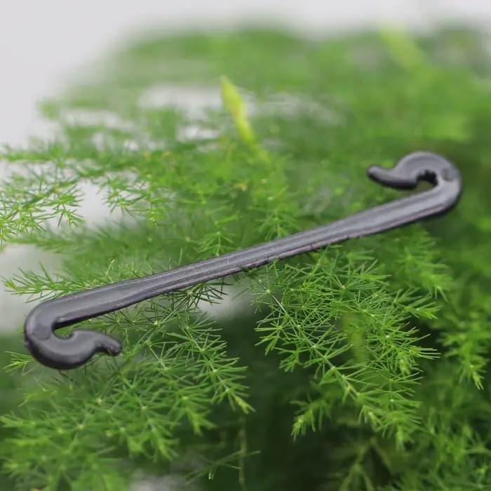 Clips fixes pour plantes de jardin, 100 pièces, boucles attachées, crochet d'arrimage pour Kiwi, rai