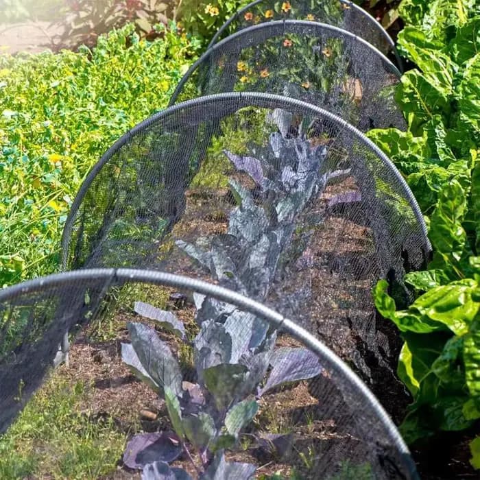 Filet anti-insectes de jardin noir, réutilisable, Anti-oiseau surélevé, couverture de lit de jardin,