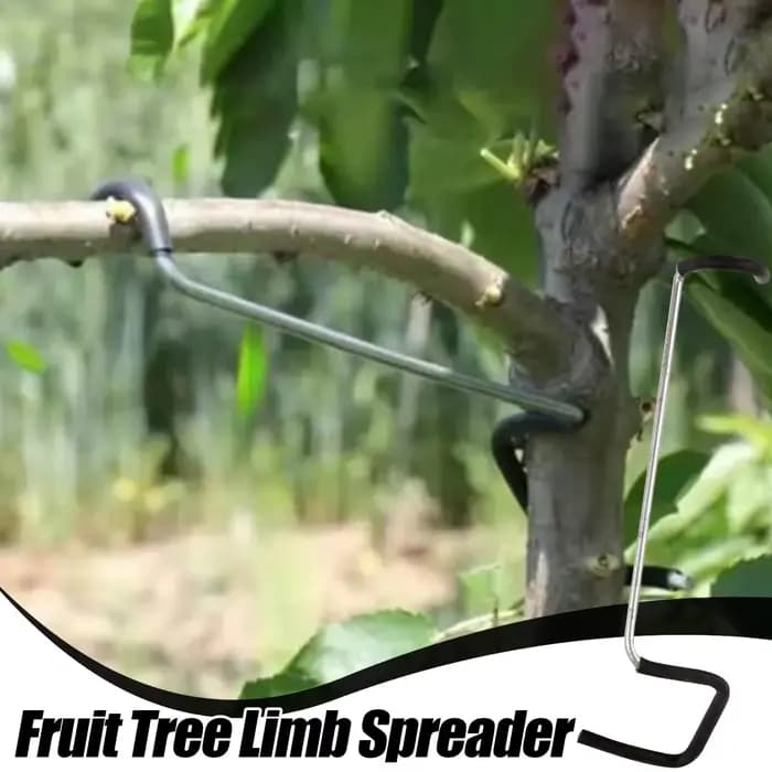 Écarteur de branches d'arbres fruitiers, 10 pièces/ensemble, outil de pliage de branches d'arbres po