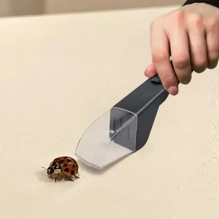 Capteur d'insectes portatif pour un piégeage efficace des araignées, des abeilles et des insectes à
