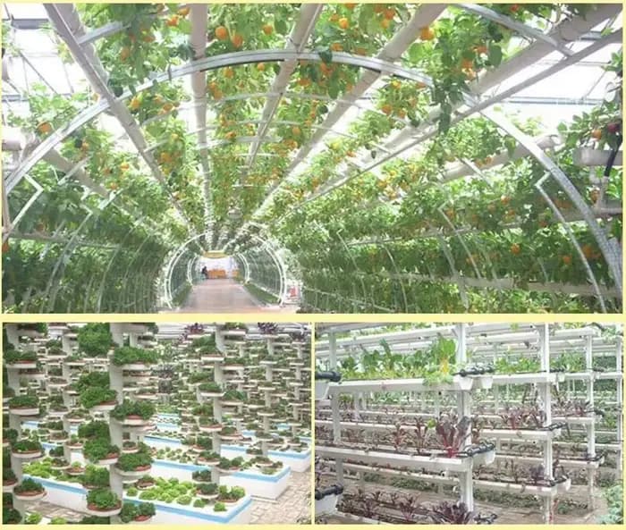 Filet de Culture de Plantes, Pots de Pépinière, Tasse de Colonisation Hydroponique, mir en Plastique