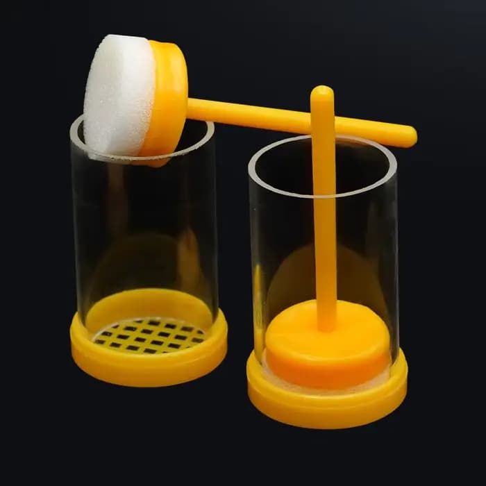 Marqueur de reine en plastique, équation de bouteille, marqueur d'élevage, bouteille d'étiquette, in