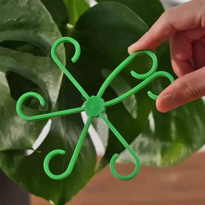 Piquets de Support de tige de plante de fleur, cadre de Support de plante d'intérieur grimpante, jar