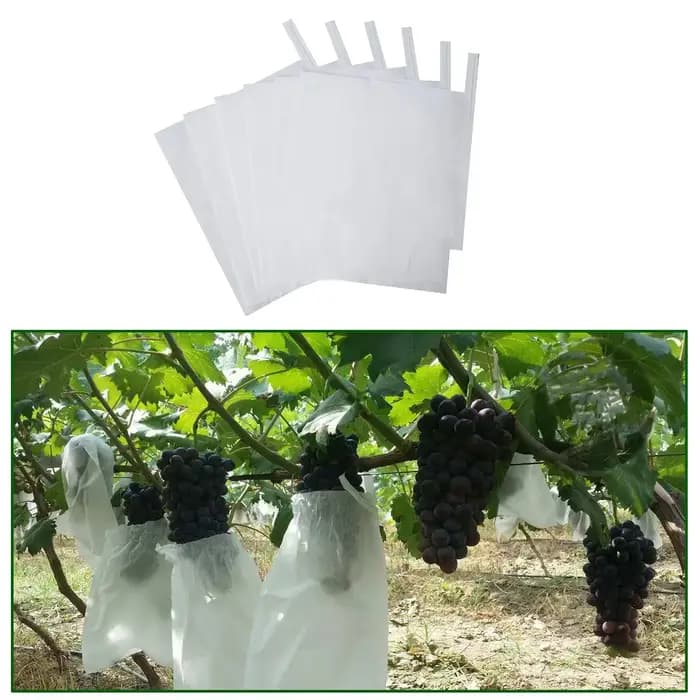 Sacs en papier de Protection des fruits, 100 pièces, pour raisins pêche, pochette contre les insecte
