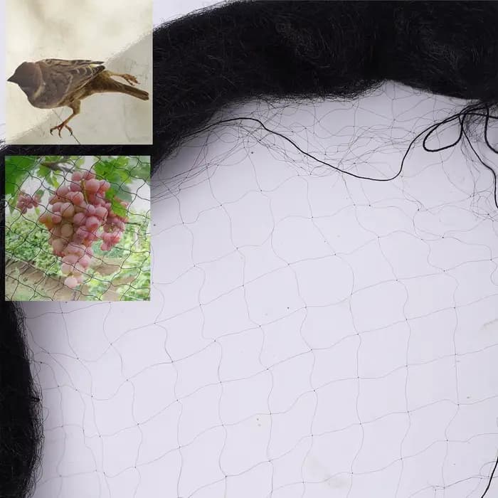 Filet en nylon anti-oiseaux pour vergers et aéroports, piège à oiseaux, cultures, arbres fruitiers,