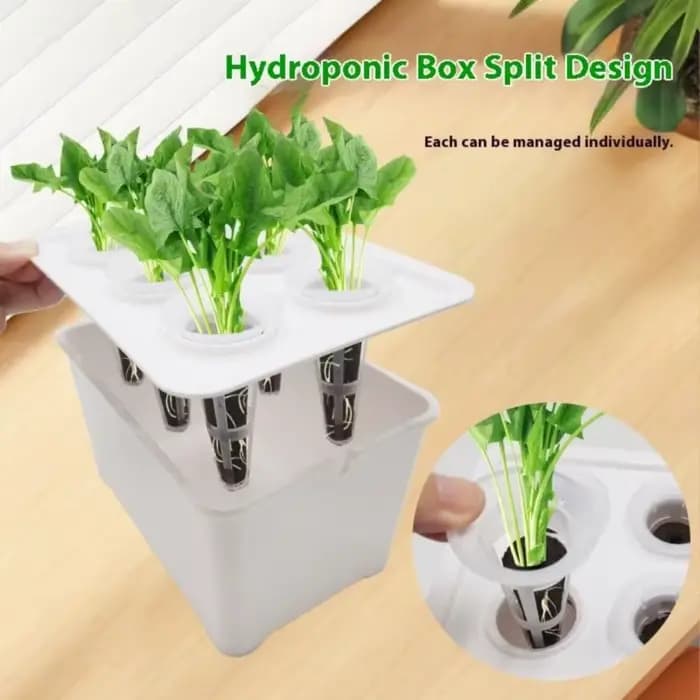 Jardinière hydroponique recyclable 652F avec fenêtre transparente