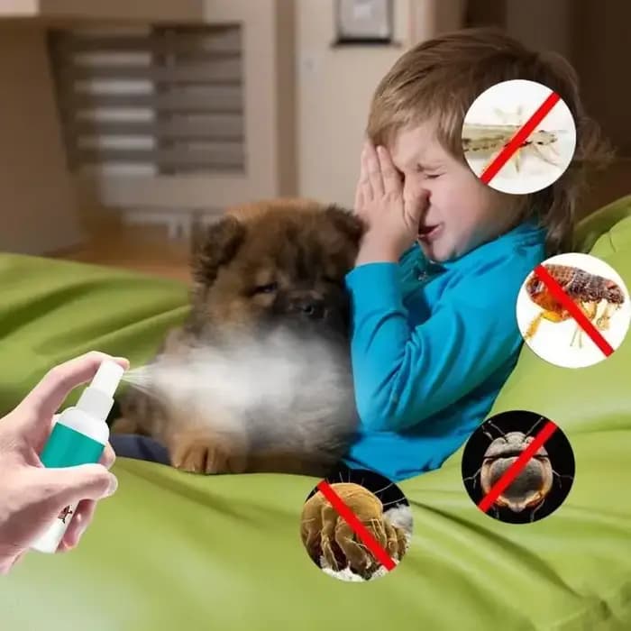 100ml expire les puces pour animaux de compagnie traitements de poux Spray rapide et pratique