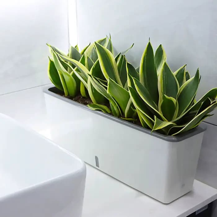 Pots de jardinières paresseux à Double couche
