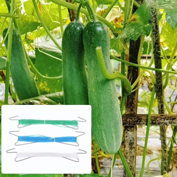 10 pièces plantes crochets Clips avec 10M corde + 20