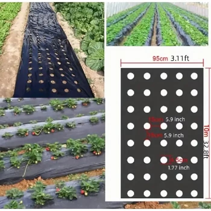 Cultivez vos légumes avec notre MulchFilm en plastique noir de haute qualité – Parfaite pour les serres et la protection des plantes!