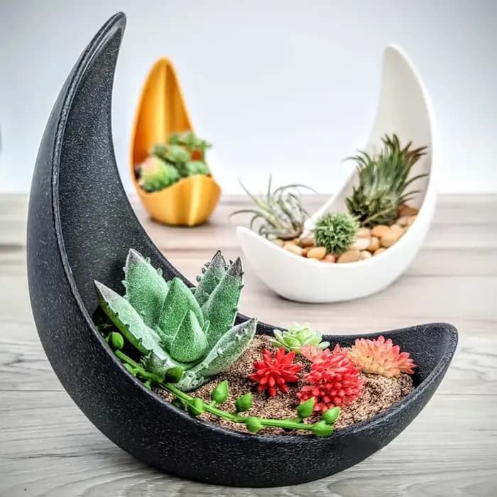 Pots de fleurs en forme de lune, décoration de maison moderne, plantation de plantes succulentes, améliorant la beauté spatiale, une qualité de vie indispensable.