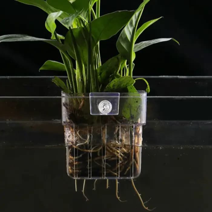 Panier de plantation hydroponique pour Aquarium de poissons