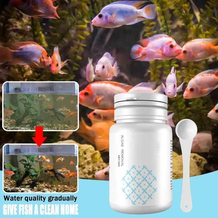 Nettoyage d'aquarium comprimés d'algues réservoir mousse dissolvant d'odeur eau purifier l'aquarium contrôle des algues