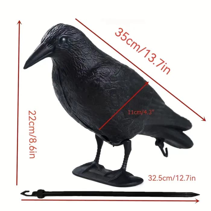 Pigeon épouvantail leurre corbeau antiparasitaire répulsif dissuasion