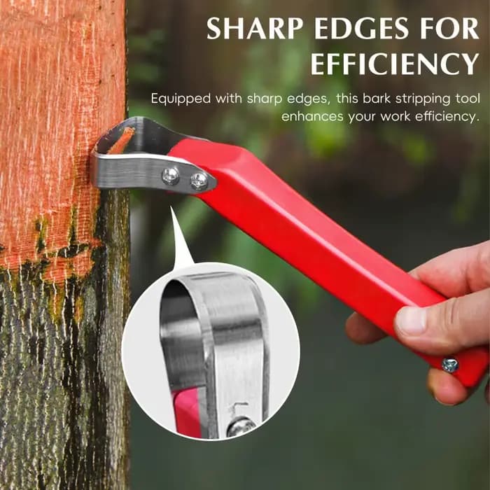 Lot de 2 grattoirs pour écorces d'arbres fruitiers