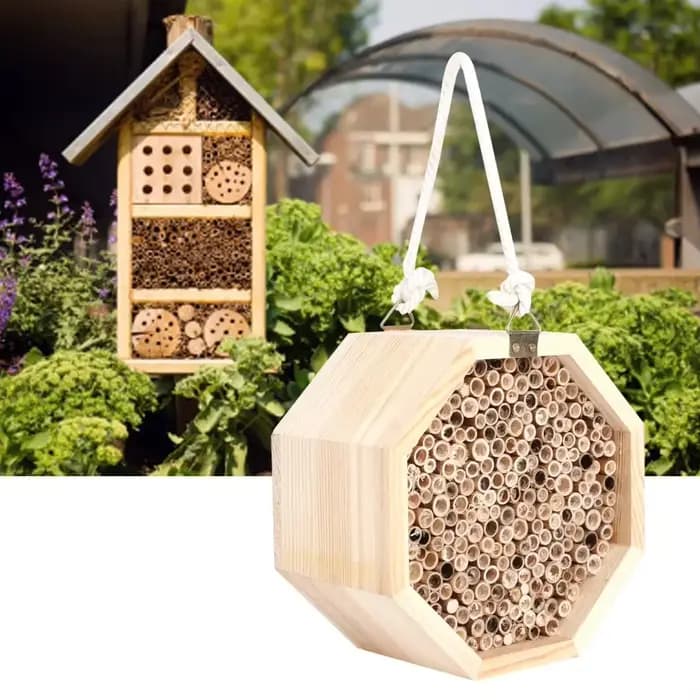 Maison d'abeilles d'insectes en bois