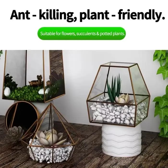 Appât liquide puissant pour fourmis d'intérieur