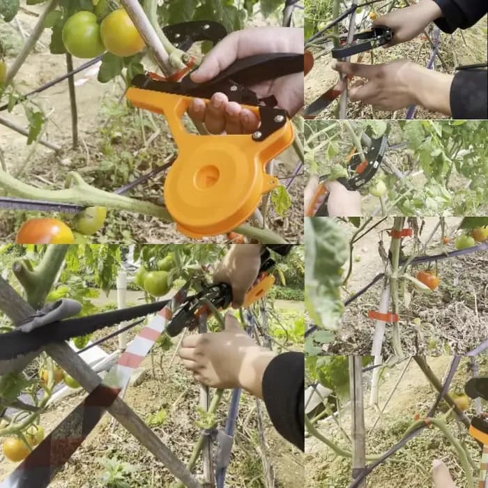 Machine à lier les tomates