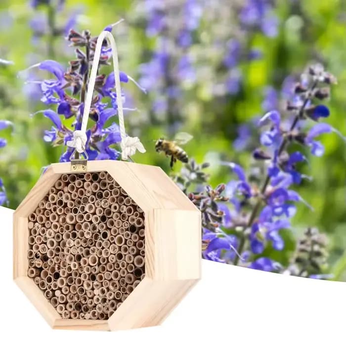 Maison d'abeilles d'insectes en bois