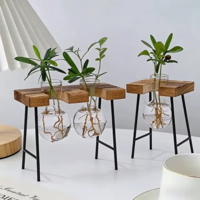Jardinière hydroponique à cadre en bois avec bulbe en verre