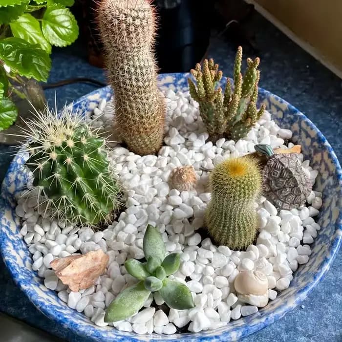 100/300/500G galets blancs pierres décoratives pour plantes-roches de rivière naturelles pour l'aménagement paysager de