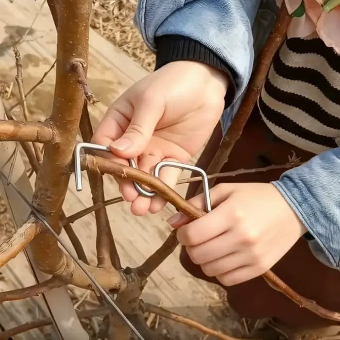 Kit d'outils manuels pour cintrer les branches d'arbres fruitiers – Écarteur de branches sans moteur pour la mise en forme et le tirage des arbres – Outil portable pour la cintrage des vergers