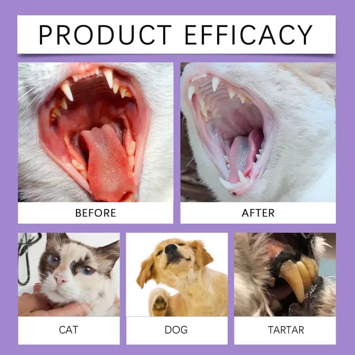 Spray rafraîchissant pour l'haleine des chiens et des chats - Élimination efficace du tartre et de la plaque dentaire, stoppe la mauvaise haleine, traitement doux d'hygiène buccale pour animaux de com