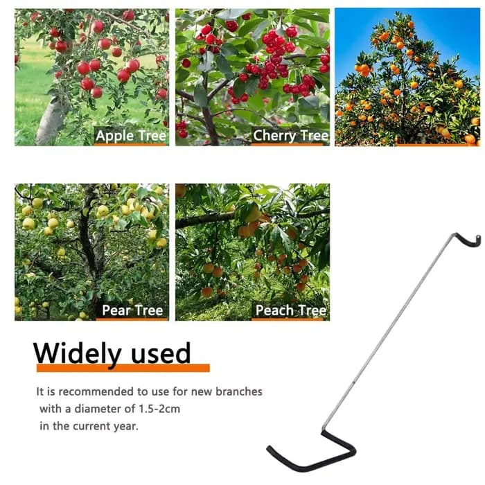 Écarteurs de branches pour arbres fruitiers
