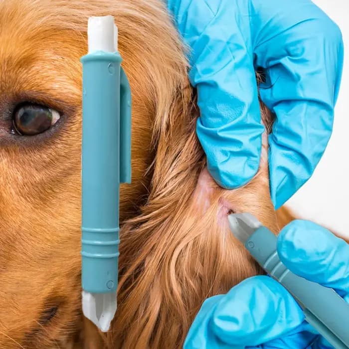Kit de 4 extracteurs de tiques pour chiens et chats