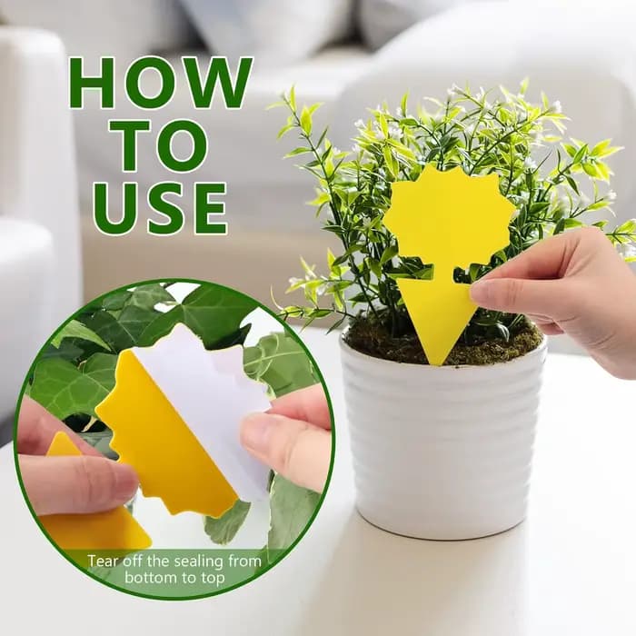 Pièges à insectes pour protéger les plantes, pièges à moustiques Double face, panneaux collants Non toxiques et sans odeur pour plantes de jardin et cuisine