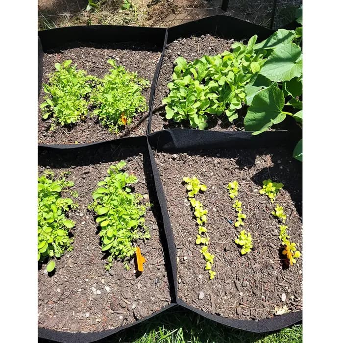 Bacs de culture surélevés en tissu pour plantes