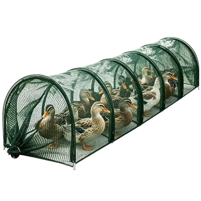 Serre tunnel de jardin portable pour poulets, avec structure en maille pare-soleil, accessoires de jardin pour plantes et légumes d'extérieur