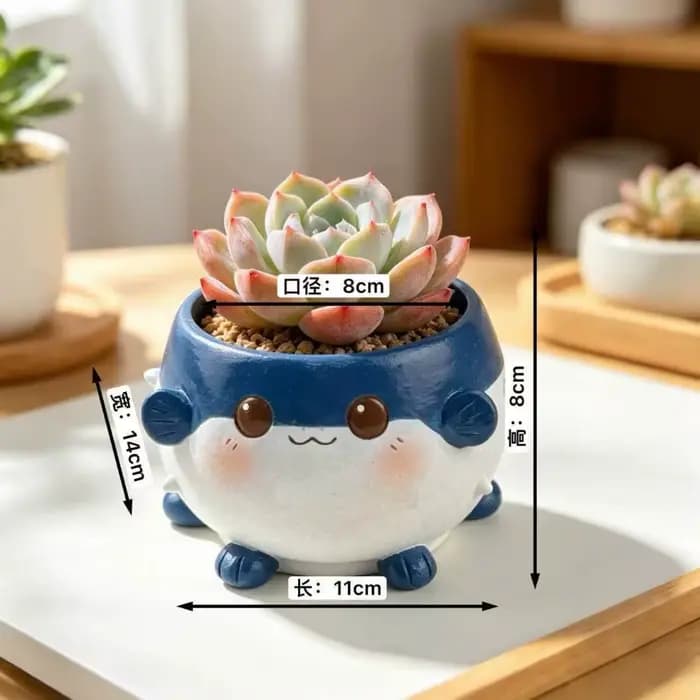 Pot de fleurs succulentes mignon en forme de dessin animé