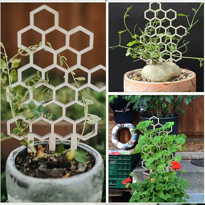 Treillis en bois durable pour favoriser la croissance des plantes
