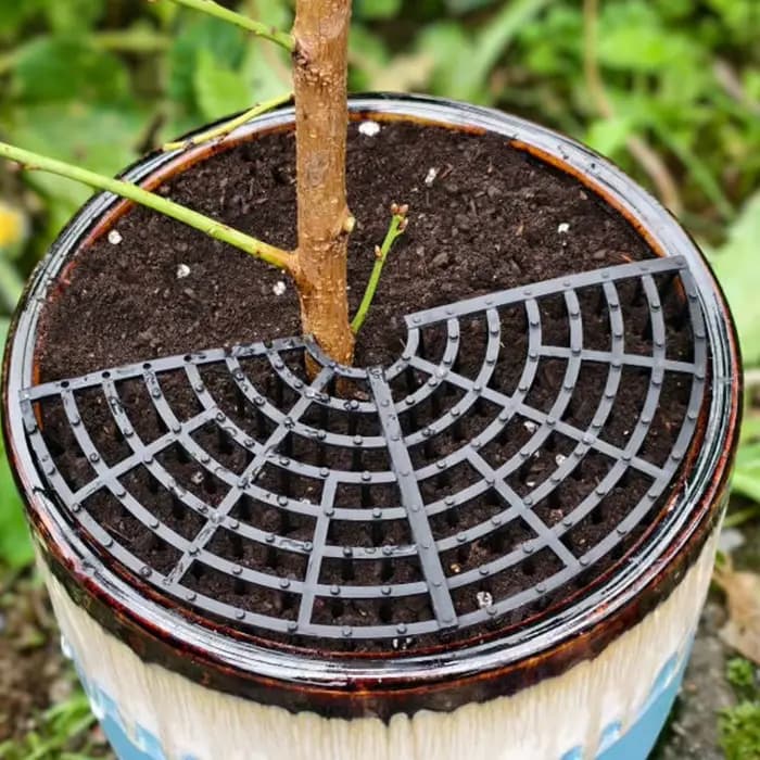 Nouveau protège-sol pour pot de plantes à double usage avec découpes barbelées
