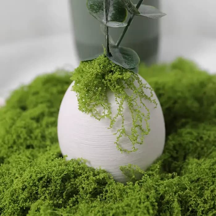 30/50/100g plantes vertes artificielles mousse herbe maison salon jardin décoration Mini paysage fausse fleur bricolage artisanat