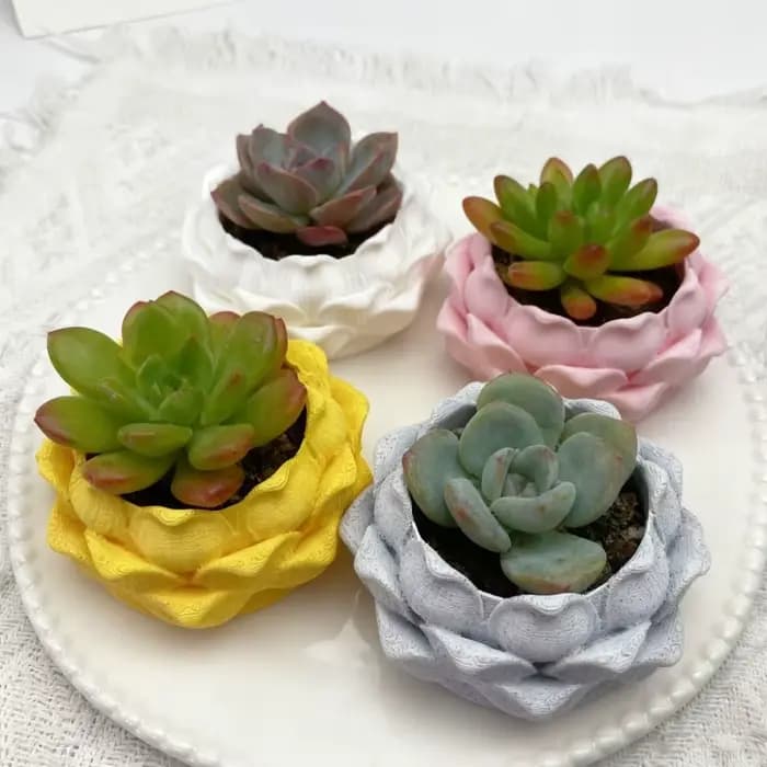 Pot de fleurs en plastique en forme de lotus pour plantes succulentes