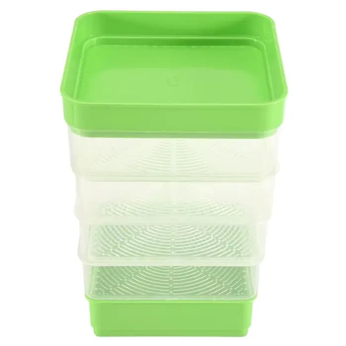 Kit de Germination de graines de haricots