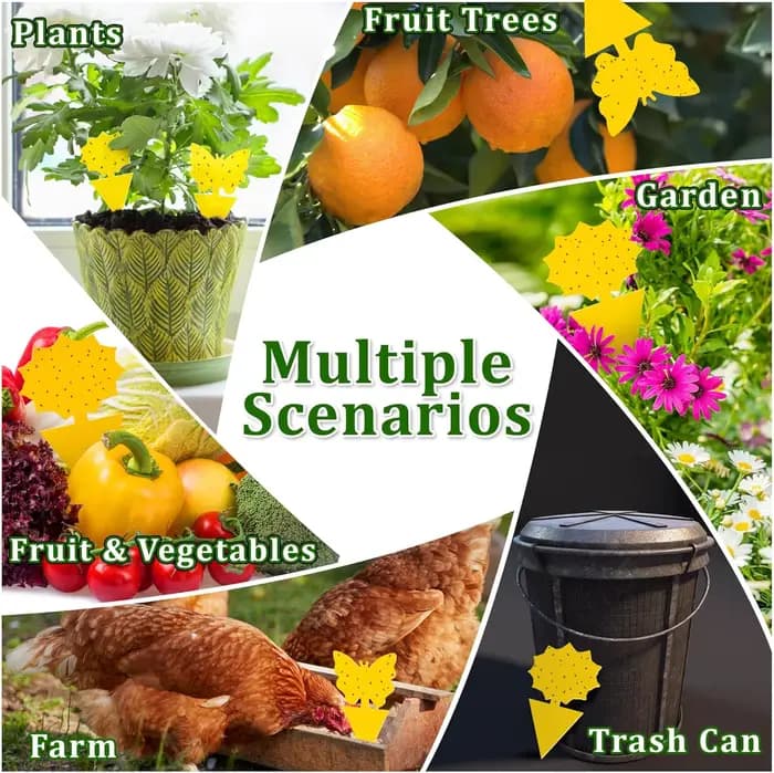 Pièges à insectes pour protéger les plantes, pièges à moustiques Double face, panneaux collants Non toxiques et sans odeur pour plantes de jardin et cuisine