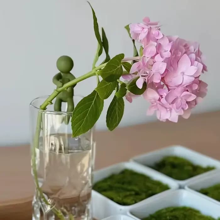 Support de plante en forme humaine, support de fixation pour vigne en plastique coloré, cadre décoratif réutilisable pour la mise en forme des plantes grimpantes en pot d'intérieur