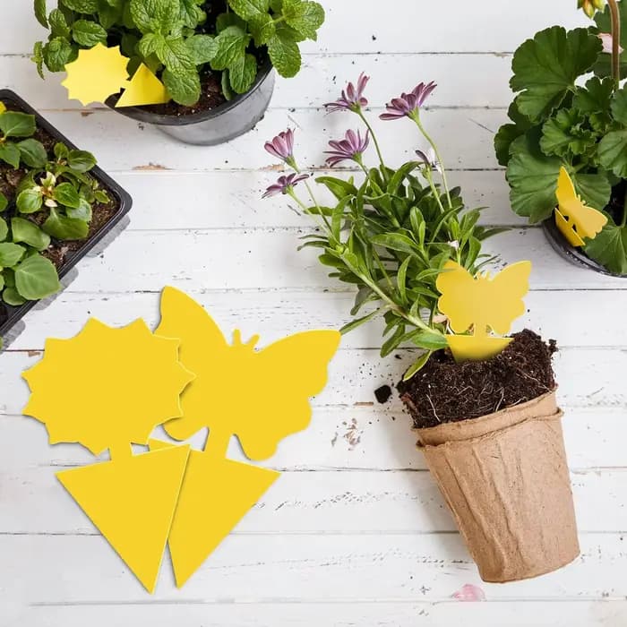 Pièges à insectes pour protéger les plantes, pièges à moustiques Double face, panneaux collants Non toxiques et sans odeur pour plantes de jardin et cuisine