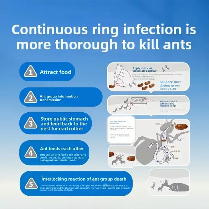 Gel anti-fourmis capable d'éliminer rapidement les fourmis