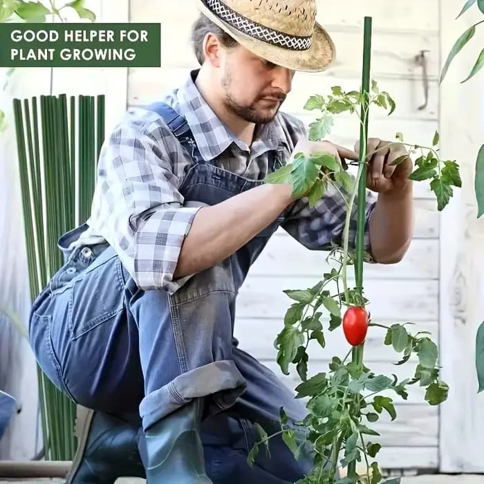 30 tiges de support épaisses pour plantes de tomates