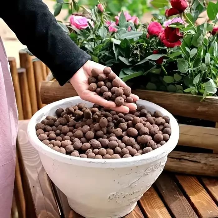 Des galets d'argile élargis hydroponiques de jardin – Granulés ovales en céramique organique pour pots