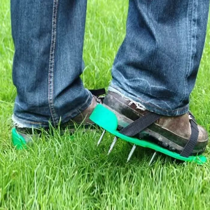 Chaussures à ongles en herbe