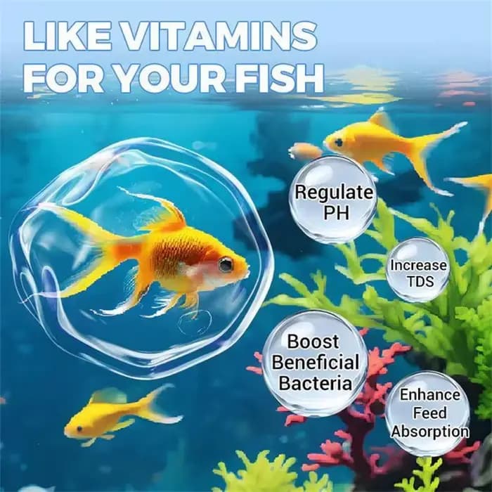 Comprimés de purification d'eau pour aquarium, détoxifiant d'ammoniac pour aquarium d'eau douce, éliminateur d'algues, adapté aux aquariums et aux bassins à poissons